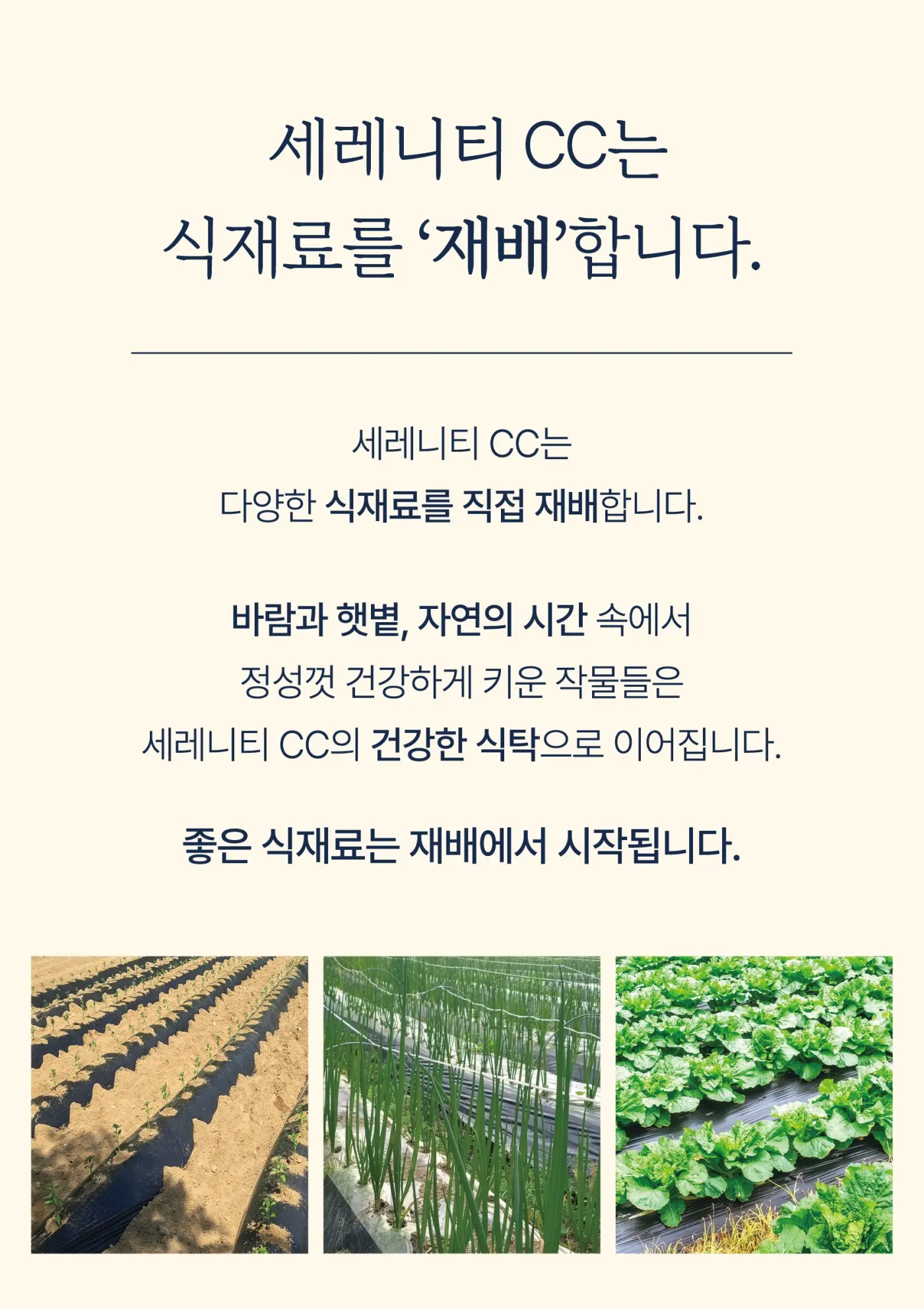 직접 재배한 제철 식재료